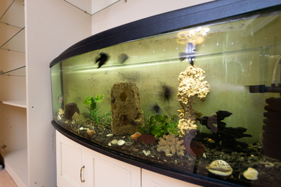 Сауна, лазня Сауна «Жара», Киев відгуки, фото, адреса - laznya.kiev.ua Сауна «Жара» відгуки, лазня/сауна Киев Дарницкий район бул. Дарницкий, 5, фото, адреса з картою проїзду.