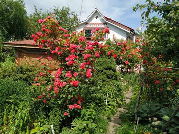 Баня на дровах «В гостях у бабушки» відгуки, лазня/сауна Киев Днепровский район 18-я Садовая улица, фото, адреса з картою проїзду.