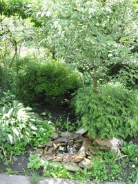 Баня на дровах «В гостях у бабушки» відгуки, лазня/сауна Киев Днепровский район 18-я Садовая улица, фото, адреса з картою проїзду.