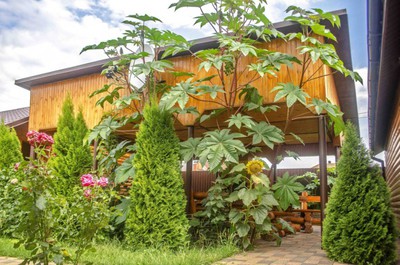 Сауна, лазня ЭКО баня «Банный двор на Троещине», Киев відгуки, фото, адреса - laznya.kiev.ua ЭКО баня «Банный двор на Троещине» відгуки, лазня/сауна Киев Деснянский район с. Троещина (въезд с улицы Деснянской на Толстого), фото, адреса з картою проїзду.