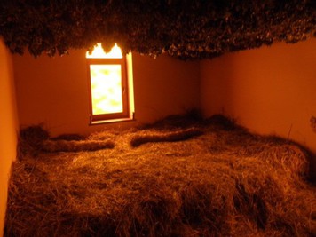 Старословʼянська лазня «Ладомир» відгуки, лазня/сауна Київ Київо-Святошинський район с. Гореничі, вул. Максима Рильського 19, фото, адреса з картою проїзду.