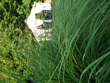 Славянский сруб с.Троещина відгуки, лазня/сауна Киев Деснянский район с.Троещина, ул. Мира, 23, фото, адреса з картою проїзду.