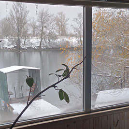 Баня на дровах «Изумрудная» відгуки, лазня/сауна Киев Оболонский район ул. Приречная, 32 (на берегу Днепра), фото, адреса з картою проїзду.