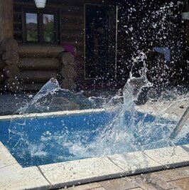 «БАНЕЧКА» на дровах у Гатному. відгуки, лазня/сауна Київ Голосіївський район Гатне вул. Юнацька, фото, адреса з картою проїзду.