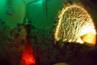 Центр здоровья и красоты «Аврора» відгуки, лазня/сауна Киев Шевченковский район ул. Сечевых стрельцов, 31 (Артема), фото, адреса з картою проїзду.