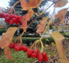 Сауна, лазня Сауни готельного комплексу «Червона Калина» на Дніпрі, Київ відгуки, фото, адреса - laznya.kiev.ua Сауни готельного комплексу «Червона Калина» на Дніпрі відгуки, лазня/сауна Київ Деснянський район Проспект Романа Шухевича 7, Парк Муромець (Північний міст), фото, адреса з картою проїзду.