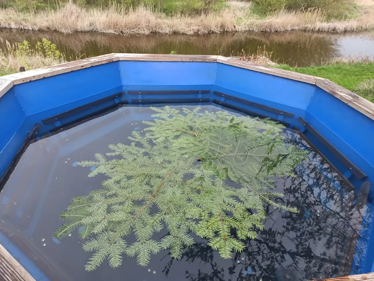 Баня відгуки, лазня/сауна Переяслав-Хмельницкий  район ул. Магдебурського права, 23, фото, адреса з картою проїзду.