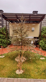 Баня Гостевой Дом Штиль відгуки, лазня/сауна Киев Днепровский район ул. Садовая, 209-я, фото, адреса з картою проїзду.