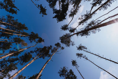 Банний клуб Scandi Club відгуки, лазня/сауна Колонщина  район вул. Новомар'янівська, с. Колонщина, Київська обл., фото, адреса з картою проїзду.