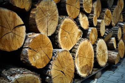 Баня в клубе стрельбы и отдыха «Standfort» відгуки, лазня/сауна Киев Голосеевский район С. Нещеров, Киевская обл. Ул Трехродниковая, 41, фото, адреса з картою проїзду.