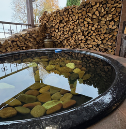 ЛАЗНЯ ЯХТА КИЇВ відгуки, лазня/сауна Київ Оболонський район вул. Богатирська, 26а, фото, адреса з картою проїзду.