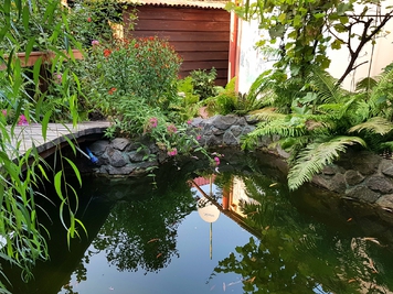 Банька «Рай» відгуки, лазня/сауна Киев Подольский район ул. Бондарская, 5/2, фото, адреса з картою проїзду.