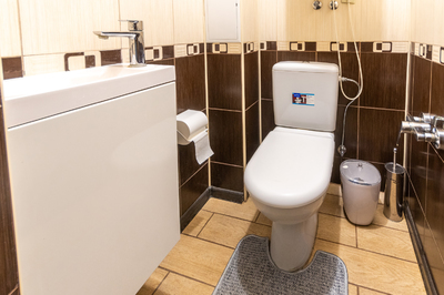 Баня с апартаментами «У Елены». Дом посуточно відгуки, лазня/сауна Борисполь  район г. Борисполь, ул. Старокиевская 44 ( Ватутина), фото, адреса з картою проїзду.